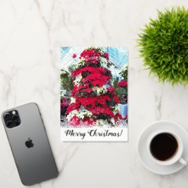 Festive Poinsettia Julgran