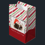 Festive Pug in Red Santa Hat med julljus<br><div class="desc">En presentväska med ett foto av en söt pug-valp som sover medan du bar en röd tomhatt. God jul är skrivet på hattens band i ett handskrivet trendig. Ett svart, grymt gräns med färglöst helgdag omger ram på detta beundransvärda foto. Bakgrunden är ett mönster som utplånats av candy cane i...</div>