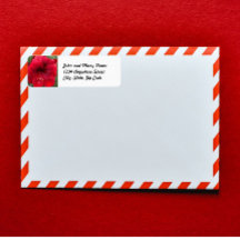 Festive Red Amaryllis Blommigt Returadress