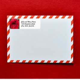Festive Red Amaryllis Blommigt Returadress Etikett