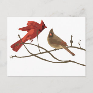 Festive Red Cardinals Vykort