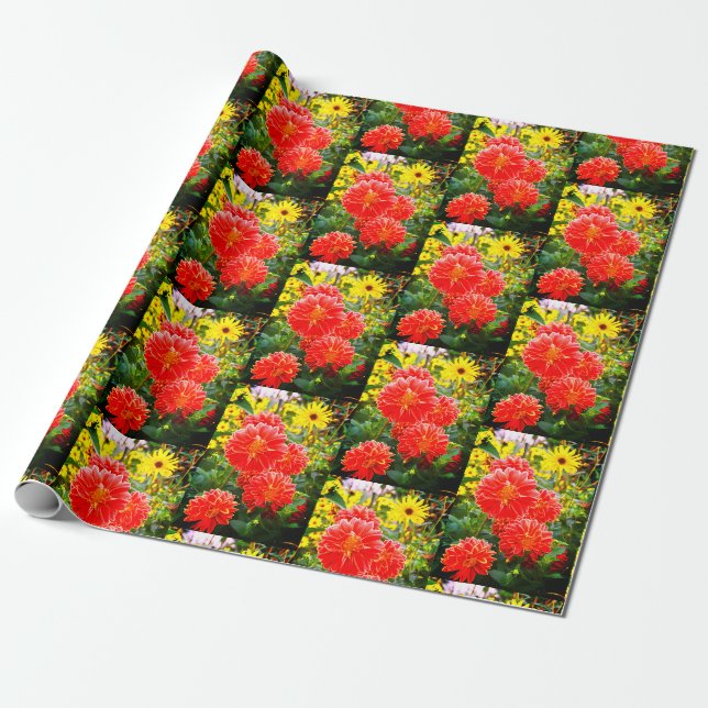 Festive Red dahlias Presentpapper (Utrullad)