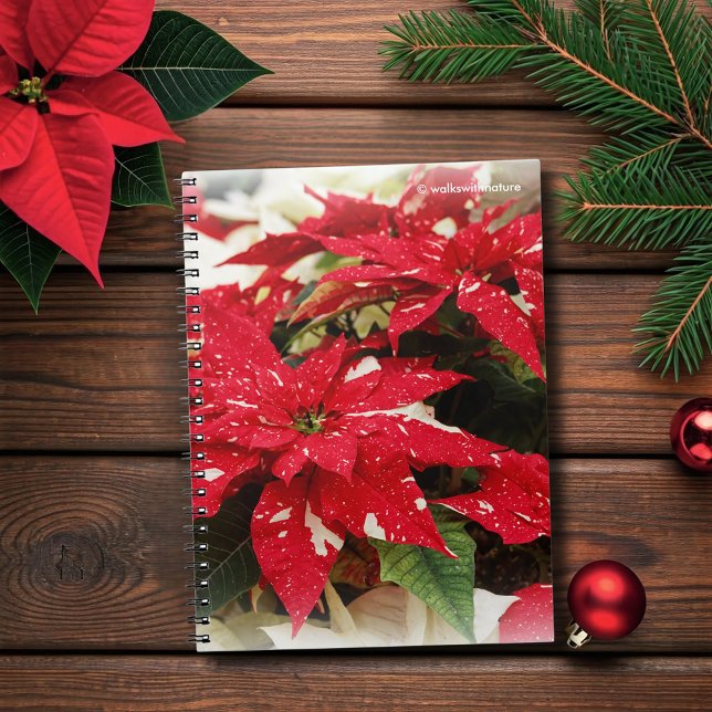 Festive Red White Blommigt Poinsettia Flowers Anteckningsbok (Festive Red and Cream Poinsettias Flowers Journal Cover Photo)