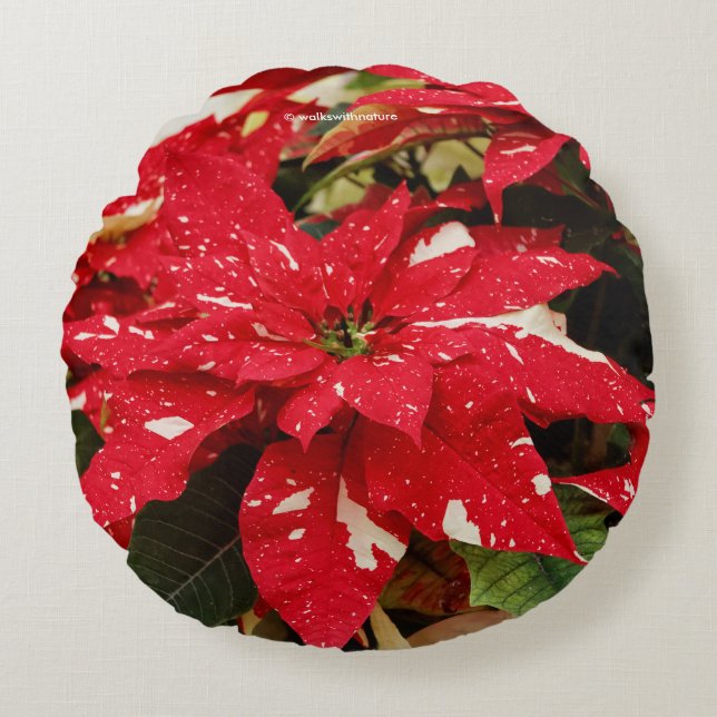 Festive Red White Blommigt Poinsettia Flowers Rund Kudde (Framsidan)