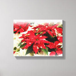 Festive Red White Blommigt Poinsettias Canvastryck