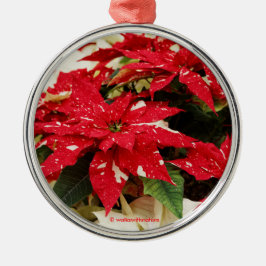 Festive Red White Blommigt Poinsettias Julgransprydnad Metall