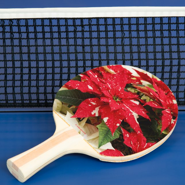 Festive Red White Blommigt Poinsettias Pingisracket (Insitu)