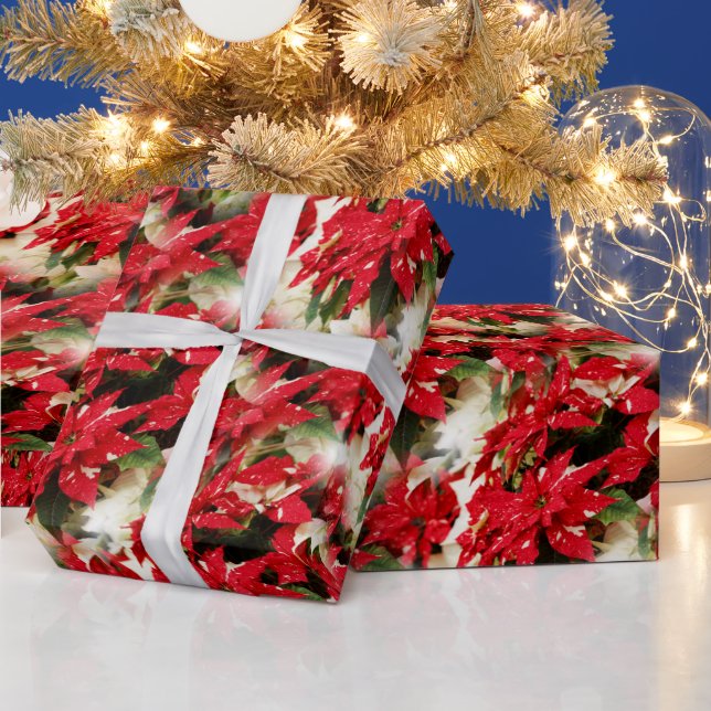 Festive Red White Blommigt Poinsettias Presentpapper (Helgdagar)