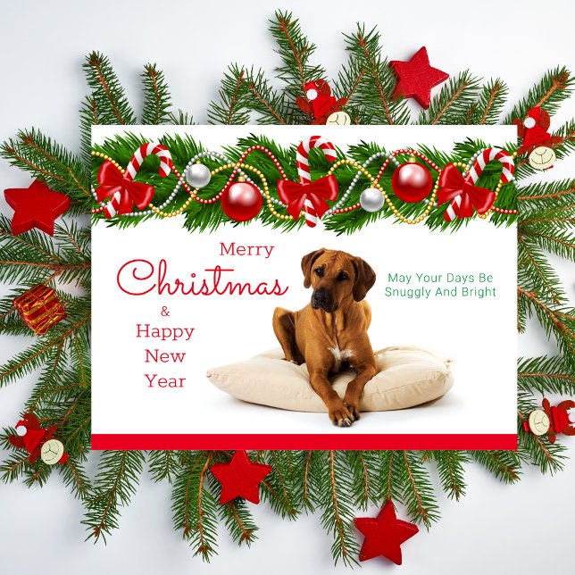 Festive Rhodesian-julkort - julkort Helg Vykort (Rhodesian Ridgeback Christmas Card)