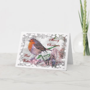 Festive Robin-julkort Helgkort