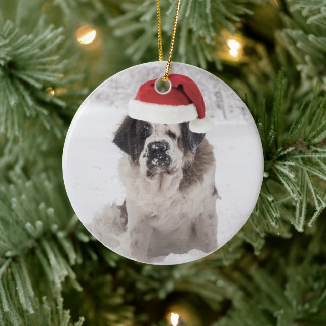 Festive Saint Bernard hund med jul Julgransprydnad Keramik (Träd)