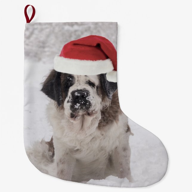 Festive Saint Bernard hund med jul Stor Julstrumpa (Framsidan)