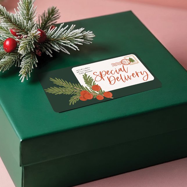 Festive Speciell Delivery-postkuvert Fraktsedel (Festive Special Delivery Postage Envelope Label)