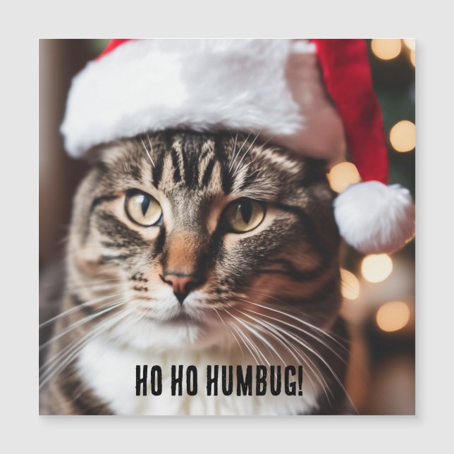Festive Tabby (Framsida)