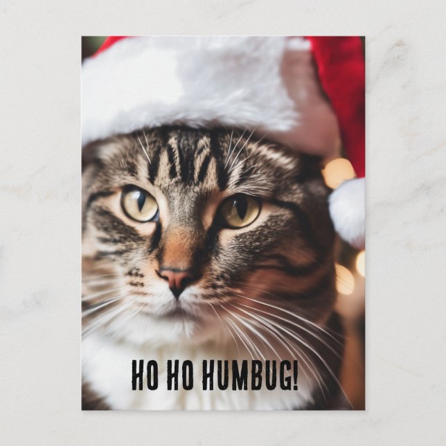Festive Tabby Helg Vykort (Framsida)