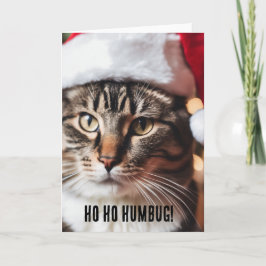 Festive Tabby Kort