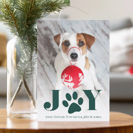 Festive Tass | Pet Photo Helgdag Card Julkort