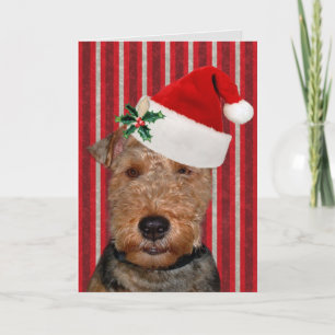 Festive Welsh Terrier Helgkort