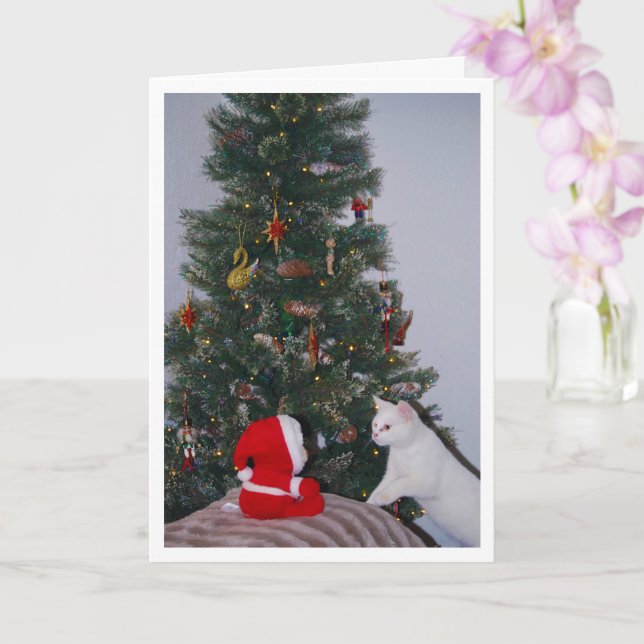 Festive White Kitten och Santa Porträtt Kort (Orkide)