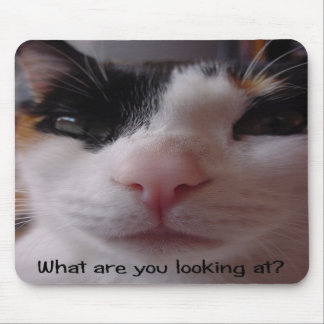 Festlig Calico Mousepad Musmatta