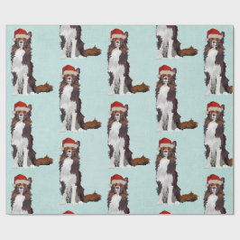 FESTLIG COLLIE som slår in papper Presentpapper