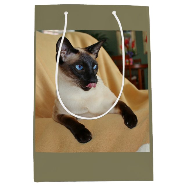 Festligt försegla pekar den Siamese katten som (Framsidan)