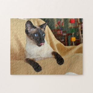 Festligt försegla pekar den Siamese katten som Pussel