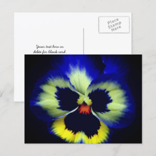 Fet blå pensé-blomfotografering  vykort