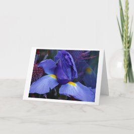 Fet Blue Iris Note Card-inställningar Anteckningskort