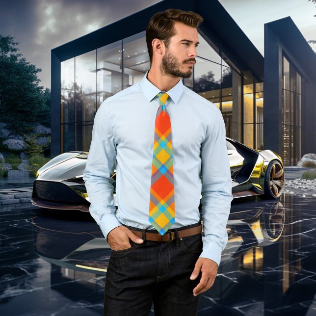 Fet färglöst skikt Mönster Tie Slips (Tie featuring a fantasy geometric plaid pattern in bold colors.)