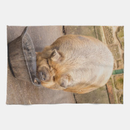 Fet gris kökshandduk