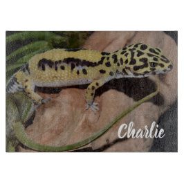 Fet Gult Leopard Gecko