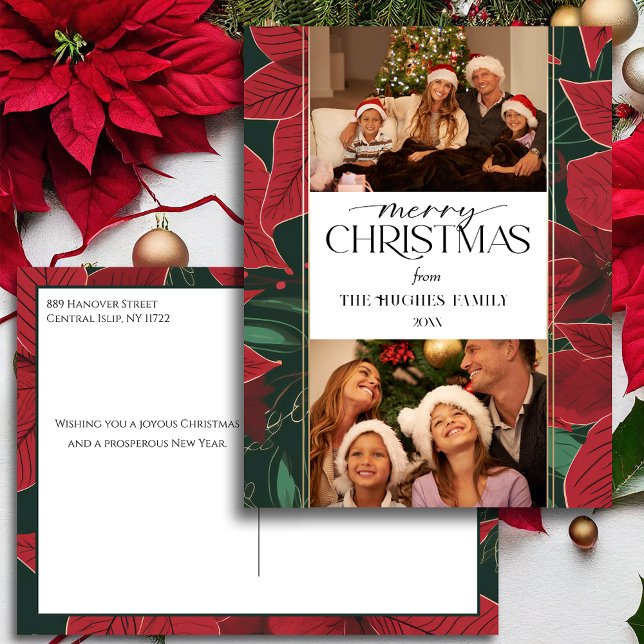Fet jul Poinsettia Botanical 2-Photo Helg Vykort (Skapare uppladdad)