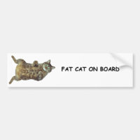 Fet katt ombord