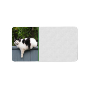 Fet katt på staket adressetikett