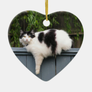 Fet katt på staket julgransprydnad keramik