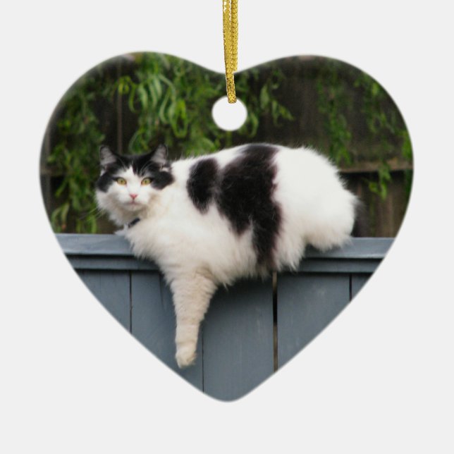 Fet katt på staket julgransprydnad keramik (Framsidan)