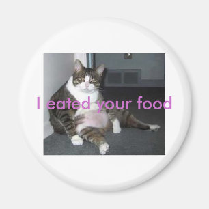 fet kattunge magnet
