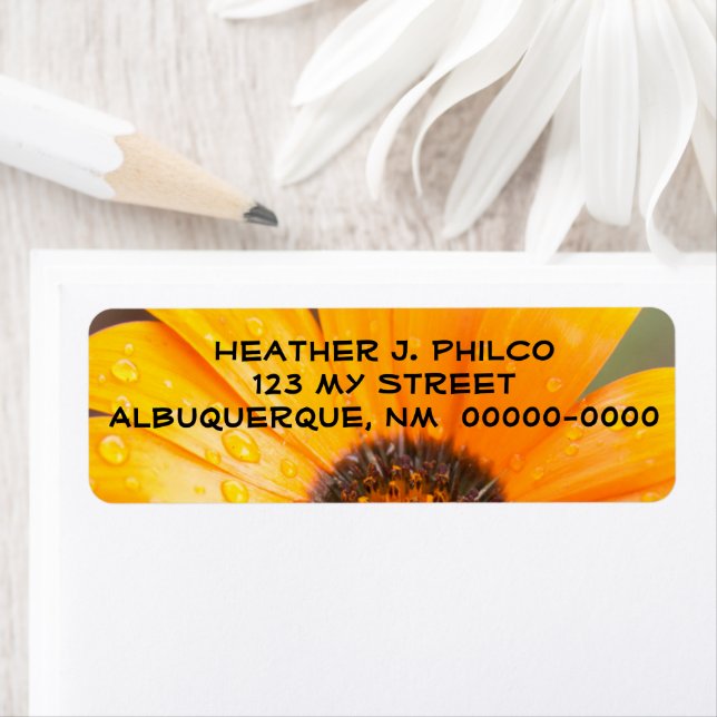 Fet Orange Blöt Daisy  Halv närbild Returadress Etikett (Insitu)