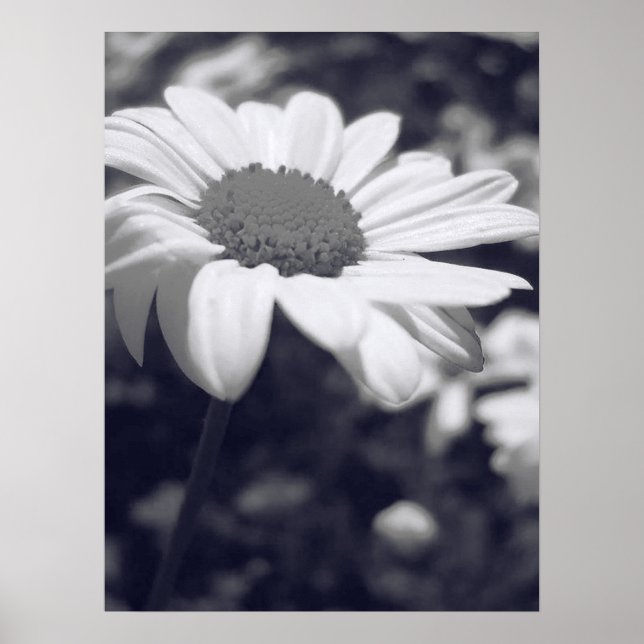 Fet Poster (Framsidan)