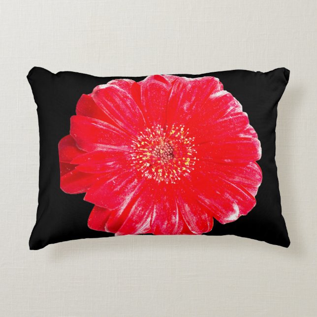 Fet Röd Gerbera Tusensköna Svart Accentkudde Prydnadskudde (Framsidan)