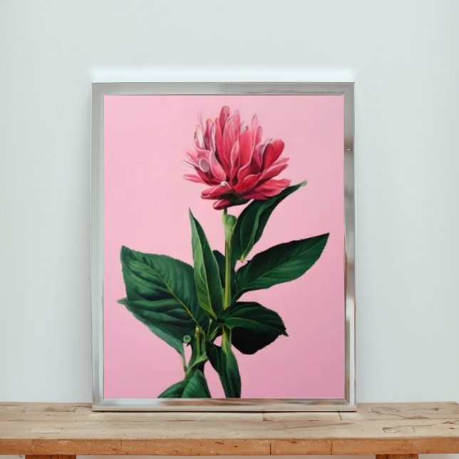 Fet Rosa Torch Ginger Fototryck (Skapare uppladdad)