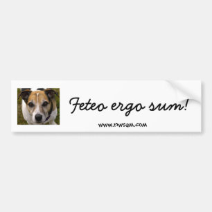 Feteo ergo summa bildekal
