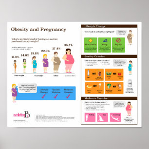 Fetma och gravid 14" x 11" Infographic affisch