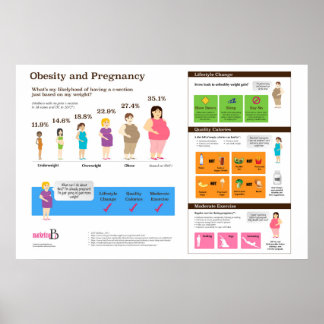 Fetma och Gravid 36 x 24-tums Infografisk Poster