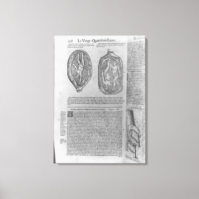 Fetus, illustration från Oeuvres Canvastryck (Framsida)