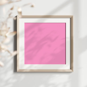 FF99CC-Rosa Poster