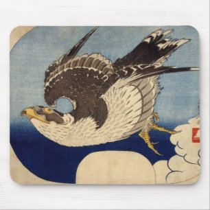 Fflygande Falcon Musmatta