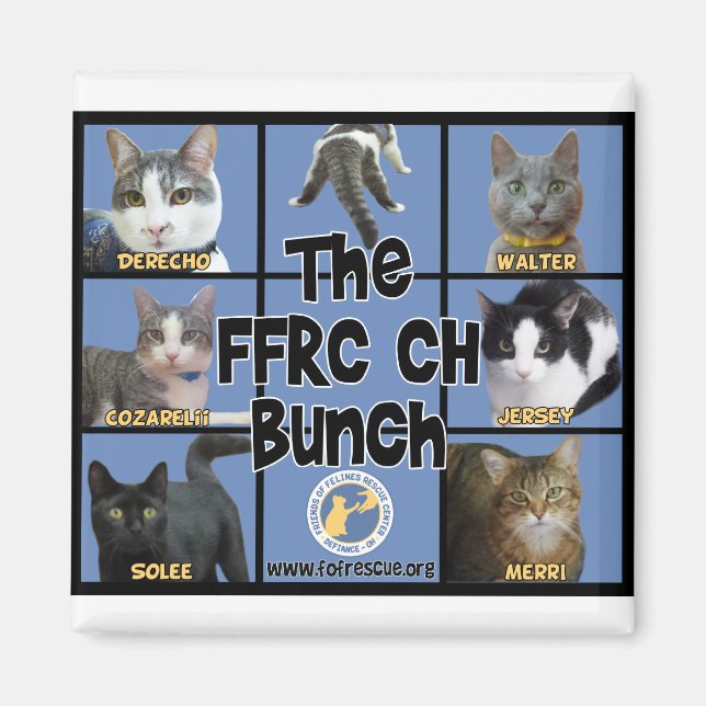 FFRC CH Bunch Magnet (Framsidan)