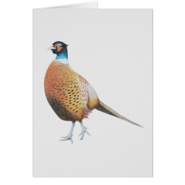 Fheasant 2012 hälsningskort (Framsidan)